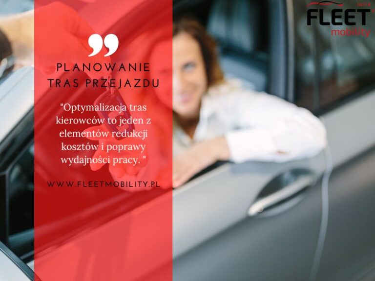 Read more about the article Planowanie tras przejazdu – czym jest optymalizacja tras dla kierowców?